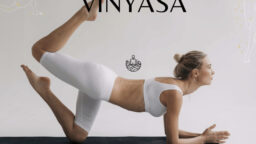 Cours de Yoga Vinyasa