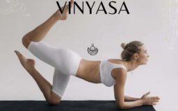 Cours de Yoga Vinyasa